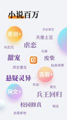 开云app登陆入口